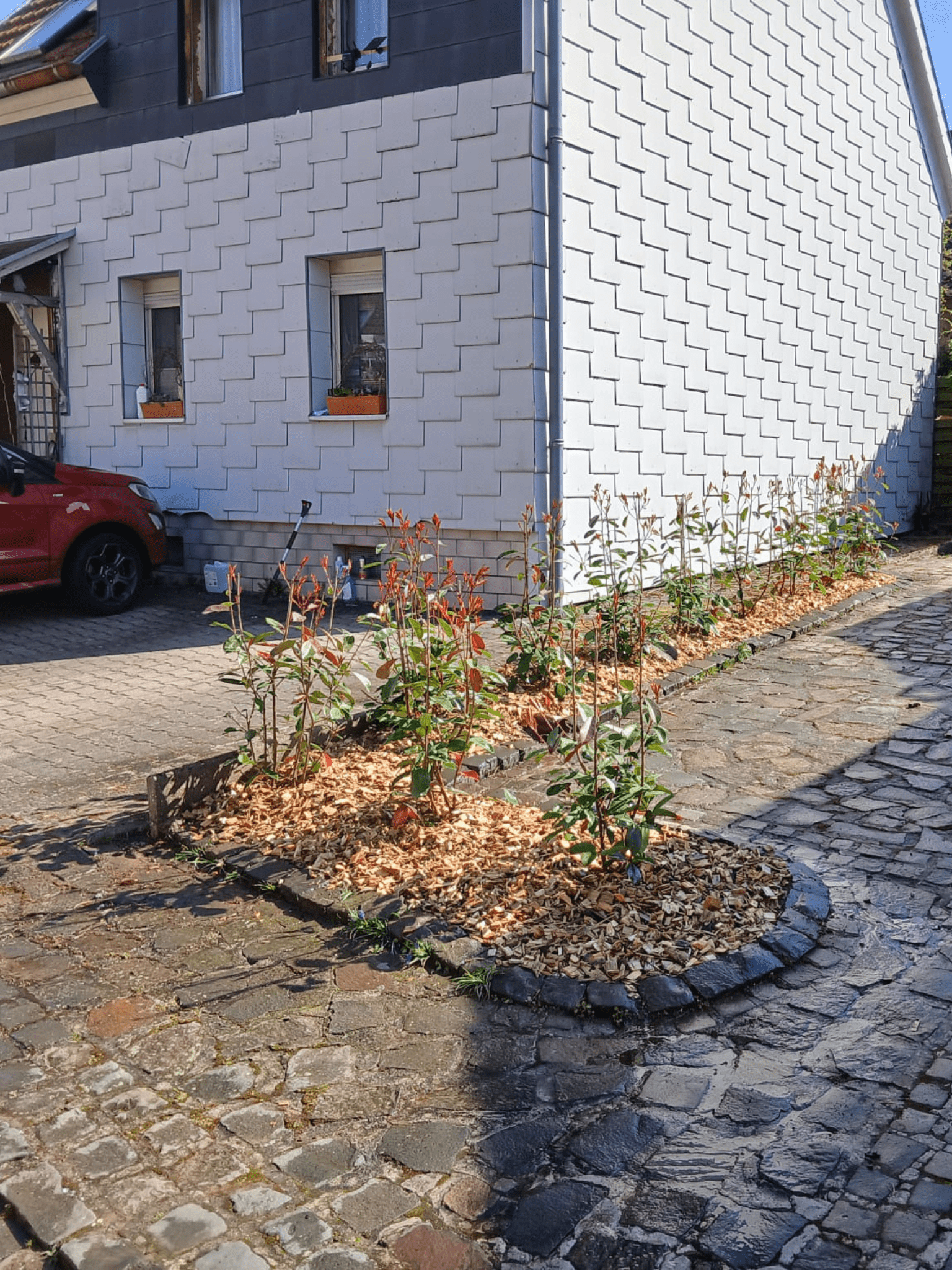 Baumdienst Wagner Nachher